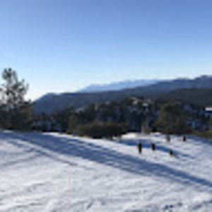 Meet your Posher, Krystal